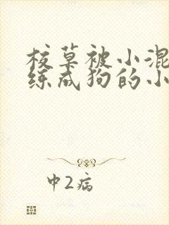 校草被小混混训练成狗的小说封面