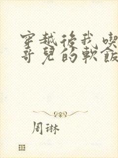 穿越后我吃到了哥儿的软饭炉山灰