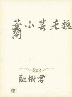 董小芸老魏笔趣阁