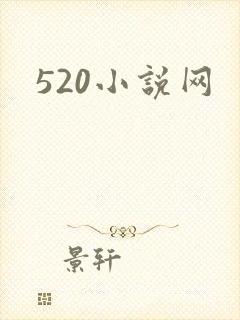 520小说网
