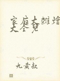 家庭大杂烩小说大全儿