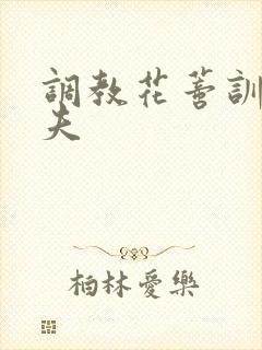 调教花蒂训诫从夫