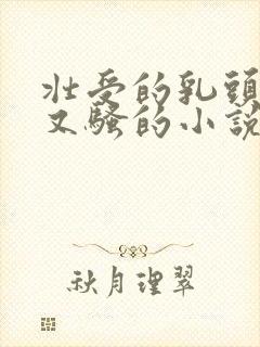 壮受的乳头又大又骚的小说