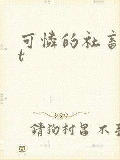 可怜的社畜txt封面