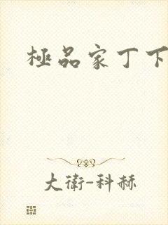 极品家丁下载封面