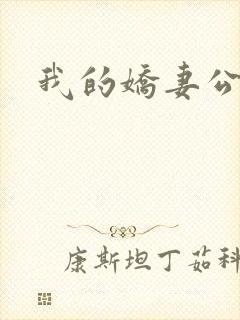 我的娇妻公务员