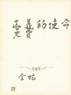 正义的使命全文免费