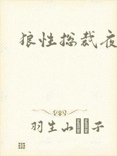 狼性总裁夜欢宠