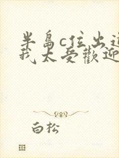 半岛c位出道的我太受欢迎笔趣阁