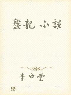 盘龙 小说封面