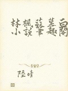 林枫苏慕白穿越小说笔趣阁