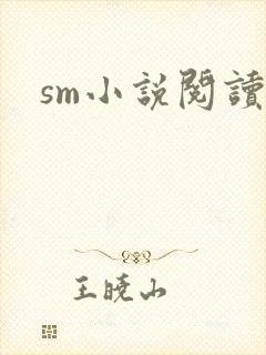sm小说阅读