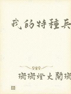 我的特种兵男友