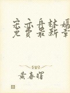 宋亦舟林嫣全文免费最新章节阅读