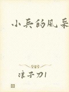 小兵的风采封面