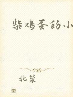 柴鸡蛋的小说封面