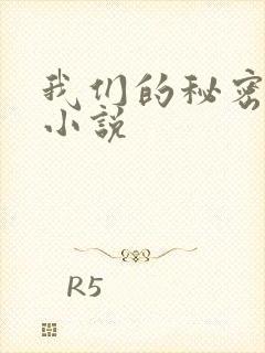 我们的秘密泰剧小说