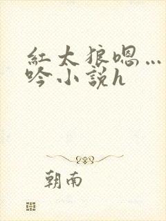 红太狼嗯…啊呻吟小说h封面