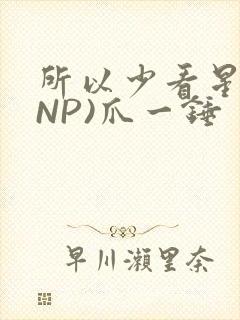 所以少看星辰(NP)爪一锤封面