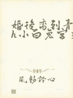 婚后脔到青梅哭h小白兔宫交h