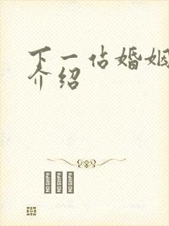 下一站婚姻剧情介绍