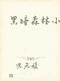 黑暗森林小说