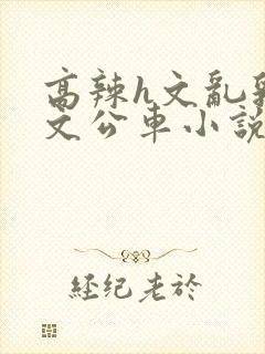 高辣h文乱乳h文公车小说