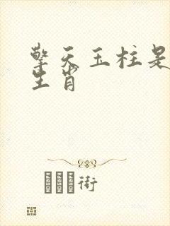 擎天玉柱是什么生肖