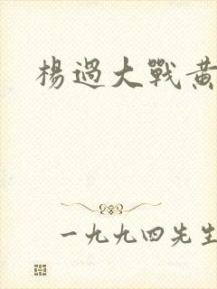 杨过大战黄蓉封面