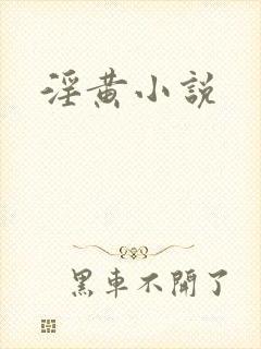 淫黄小说