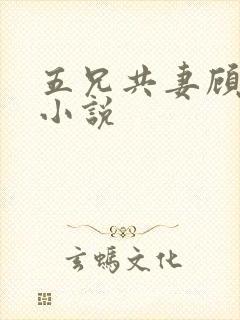 五兄共妻顾心儿小说封面