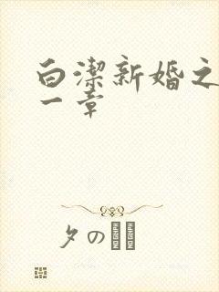 白洁新婚之夜第一章