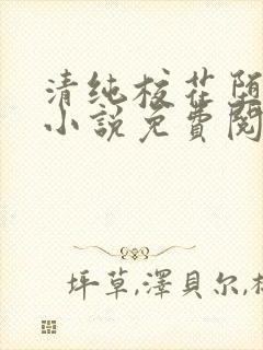 清纯校花堕落记小说免费阅读