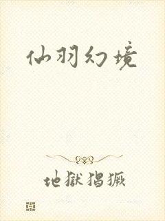 仙羽幻境封面