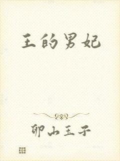 王的男妃封面