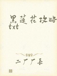 黑莲花攻略手册txt