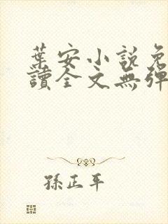 叶安小说免费阅读全文无弹窗