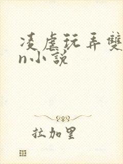 凌虐玩弄双性大n小说