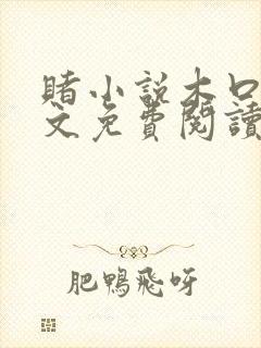 赌小说木口银全文免费阅读笔趣阁