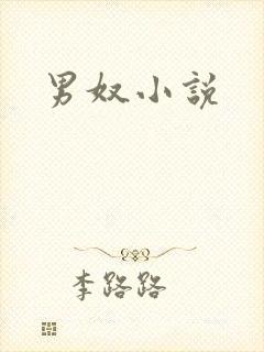 男奴小说封面