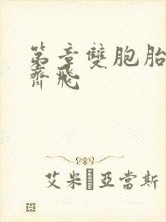 第章双胞胎姐妹齐飞