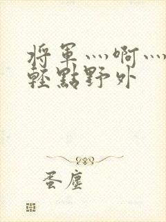 将军灬啊灬啊灬轻点野外