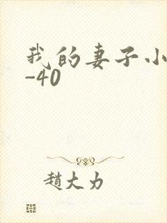 我的妻子小谨1-40封面