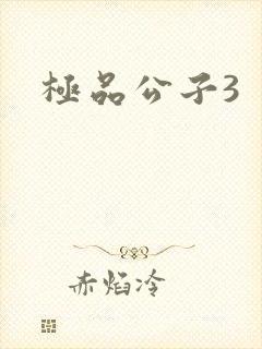 极品公子3