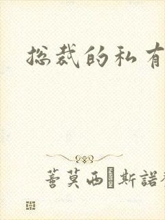 总裁的私有宝贝