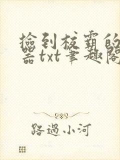 捡到校霸的遥控器txt笔趣阁