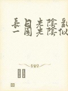 长日光阴 乱作一团光阴似箭封面