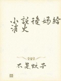 小说后妈给我消消火