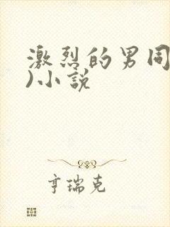 激烈的男同(h)小说