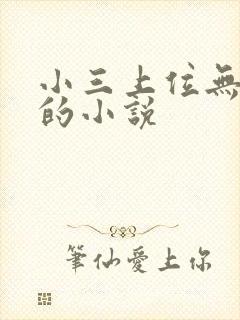 小三上位无三观的小说